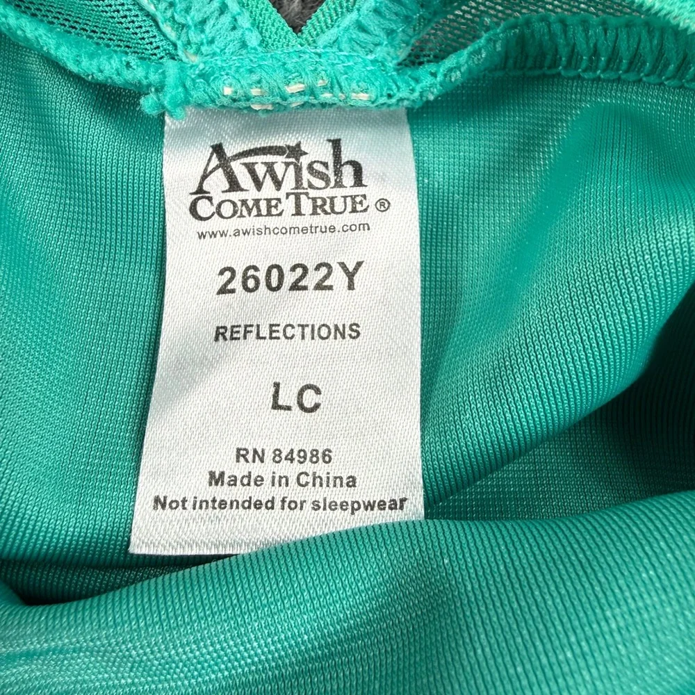 A Wish Come True Dance Costume LC Teal Velvet Floral Tulle Dress Girls Kids